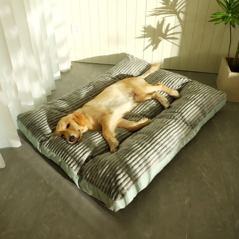 Cama Pet Dream | Para Cachorro