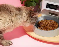 Alimentadores automáticos: como cuidar do seu pet mesmo à distância
