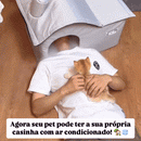 Casa Térmica | Para Cachorro e Gato
