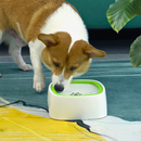 Bebedouro Anti Respingos | Para Cachorro e Gato