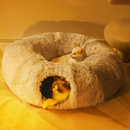 Caminha 2 em 1 | Para Gatos