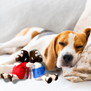 Pelúcia Pet Comfort | Para Cachorro e Gato