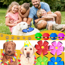 Bola Pula Pula | Para Cachorro