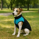 Colete Puffer Urban Paw