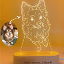 Luminária 3D Amor Pet Personalizada