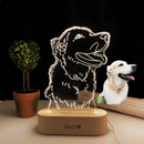 Luminária 3D Amor Pet Personalizada