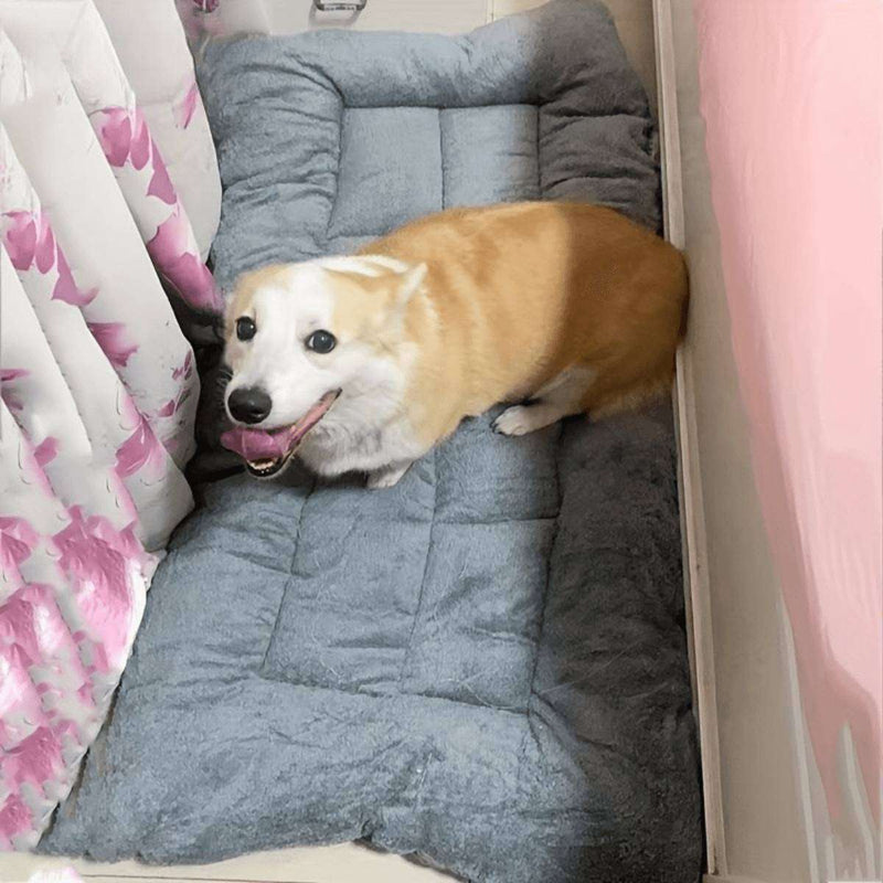 Pillowtop Multifuncional | Para Cachorro e Gato