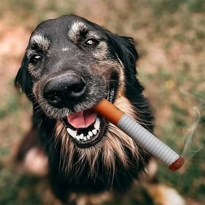 Pelúcia Cigarette | Para Cachorro