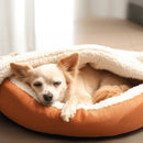 Cama Coberdog Deluxe