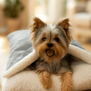 Cama Coberdog Deluxe