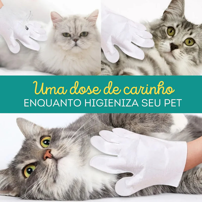 Luvas Pet Clean (6un) | Para Cachorro e Gato