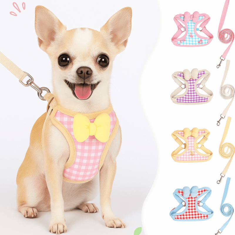Colete de Passeio Fashion | Para Cachorro e gato