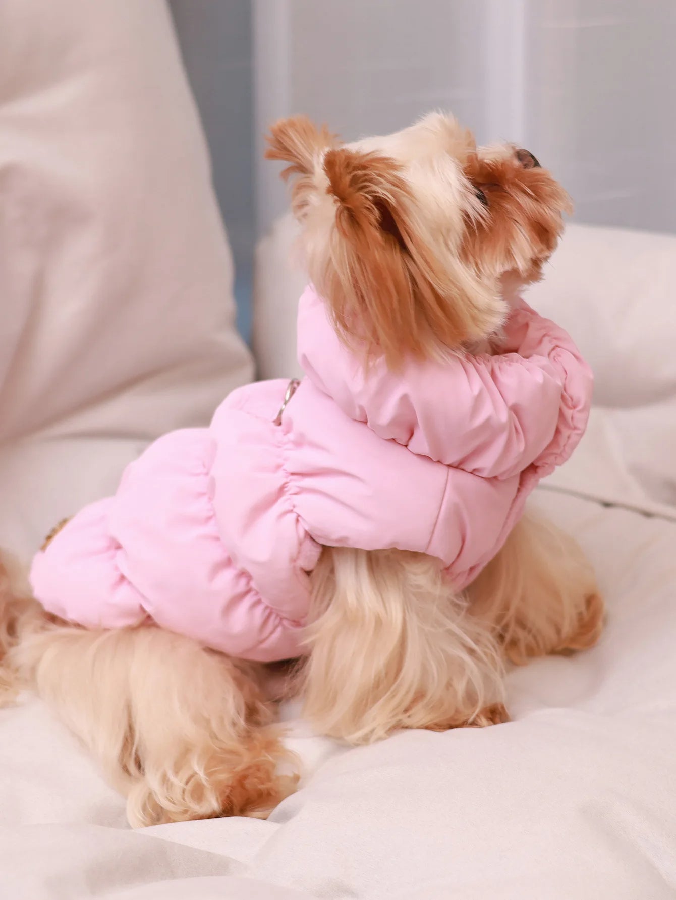 Colete Luxo de Inverno | Para Cachorro e Gato