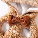 Capa de Natal Luxo | Para Cachorro e Gato