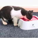 Bebedouro Anti Respingos | Para Cachorro e Gato