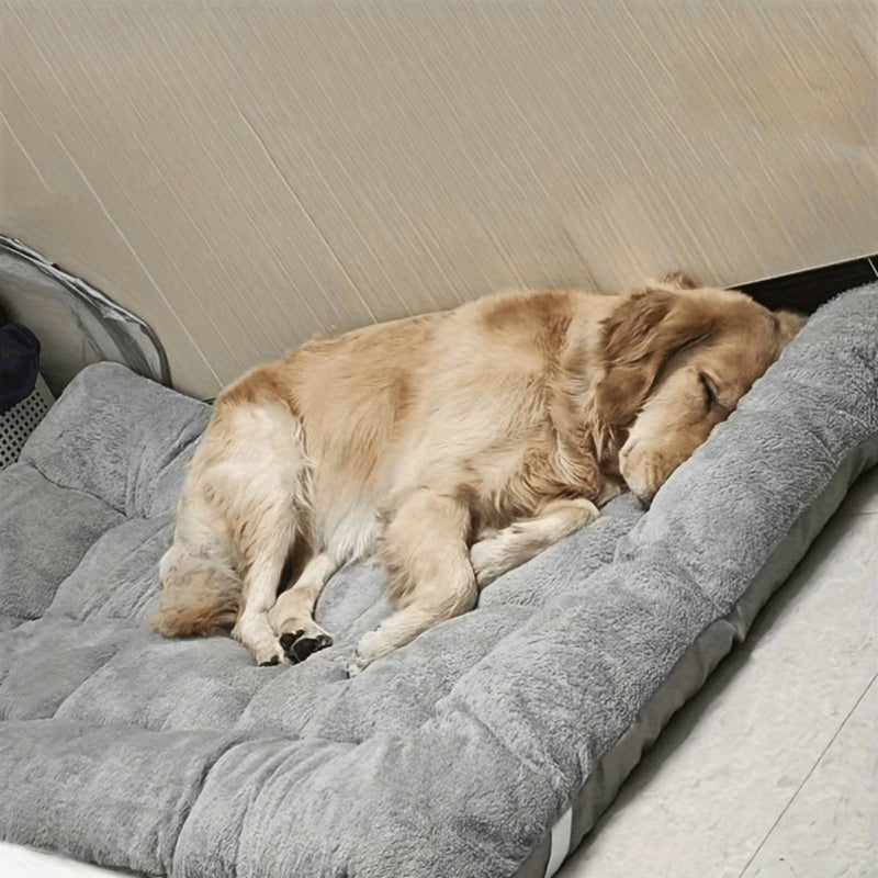 Pillowtop Multifuncional | Para Cachorro e Gato