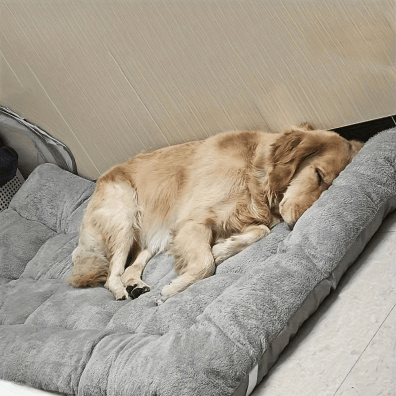 Pillowtop Multifuncional | Para Cachorro e Gato