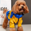 Jaqueta à Prova D'água NB |Para Cachorro