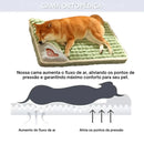 Cama Pet Peace | Para Cachorro e Gato - GO UP PET