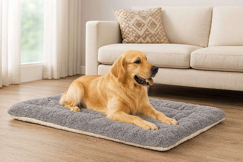 Pillowtop Multifuncional | Para Cachorro e Gato