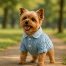 Casaquinho Mucci | Roupa para Cachorro e Gato