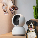 Câmera Wifi Monitora Pet