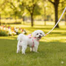 Colete Laço Fashion | Para Cachorro e Gato