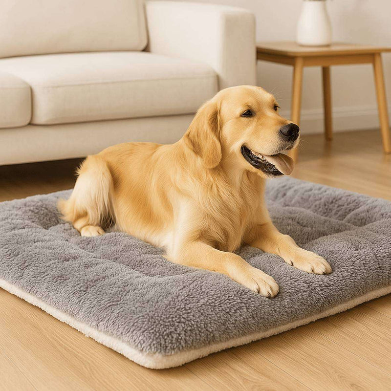 Pillowtop Multifuncional | Para Cachorro e Gato