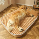 Cama Master Confort | Para Cachorro e Gato