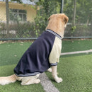 Jaqueta Colegial Pet | Para Cachorro Grande