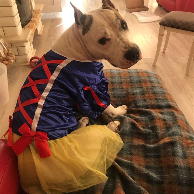 Fantasia Branca de Neve | Para Cachorros Grandes