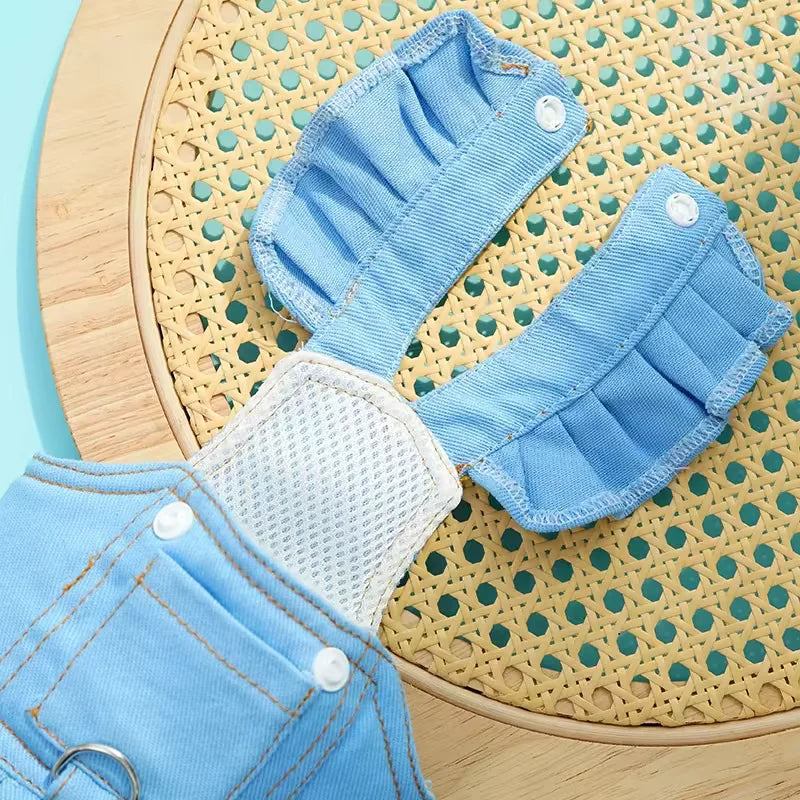 Vestido Buzz Pet - Kit com Coleira | Para Cachorro e gato