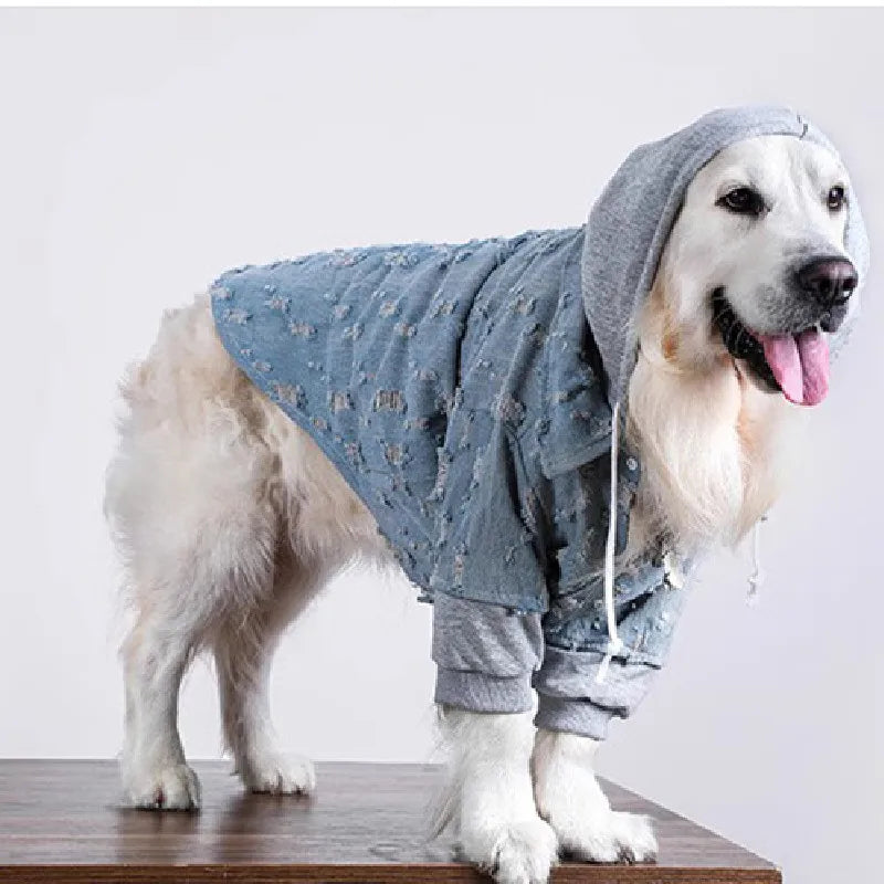 Casaco Pet Jeans | Para Cachorro