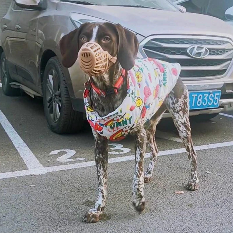 Colete Street Style | Para Cachorro e Gato