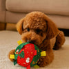 Bola Pet Divertida Natalina | Para Cachorro e Gato