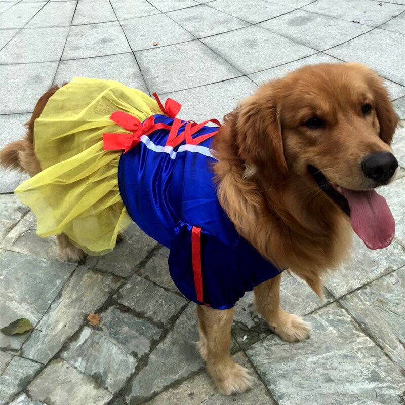 Fantasia Branca de Neve | Para Cachorros Grandes