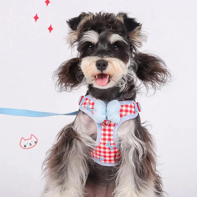 Colete de Passeio Fashion | Para Cachorro e gato