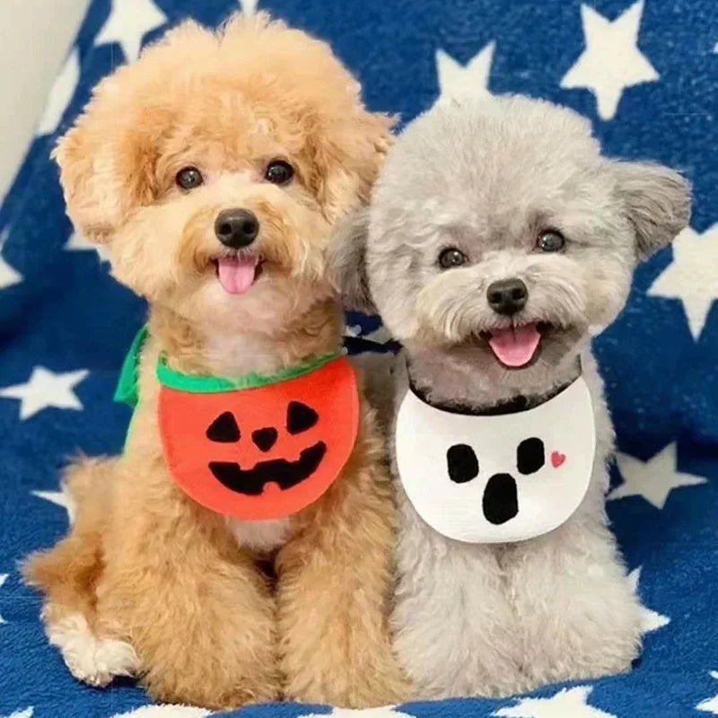 Bandana Halloween | Para Cachorro e Gato