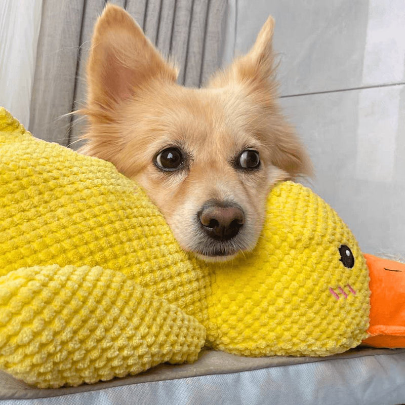 Pato de Pelúcia CalmPet