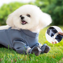 Macacão Protetor Impermeável | Para cães