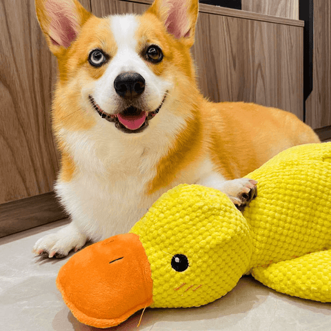Pato de Pelúcia CalmPet