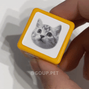 Carimbo Pet Personalizado