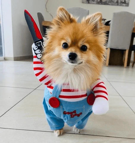 Fantasia Chucky | Para Cachorro