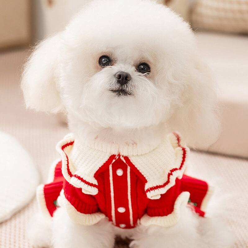 Vestidinho Natal Elegant | Para Cachorro e gato