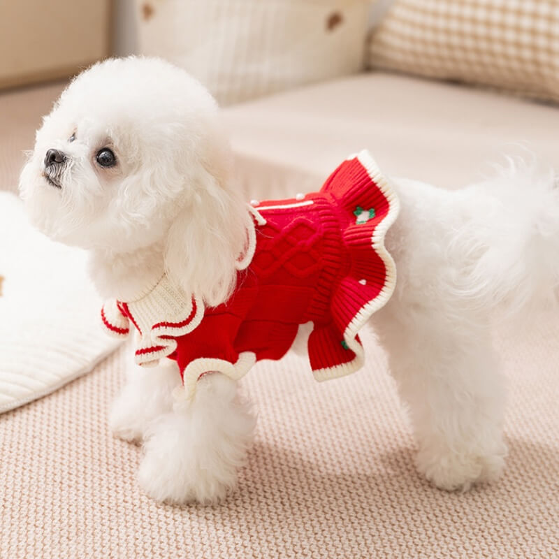 Vestidinho Natal Elegant | Para Cachorro e gato