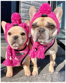 Gorro Pet | Para Cachorro e Gato