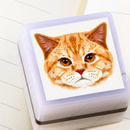 Carimbo Pet Personalizado