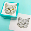 Carimbo Pet Personalizado