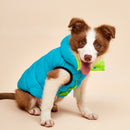 Colete Reversível Colorful | Para Cachorro e Gato