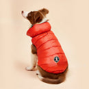 Colete Reversível Colorful | Para Cachorro e Gato